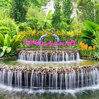 National-Orchid-Garden-Singapore-1